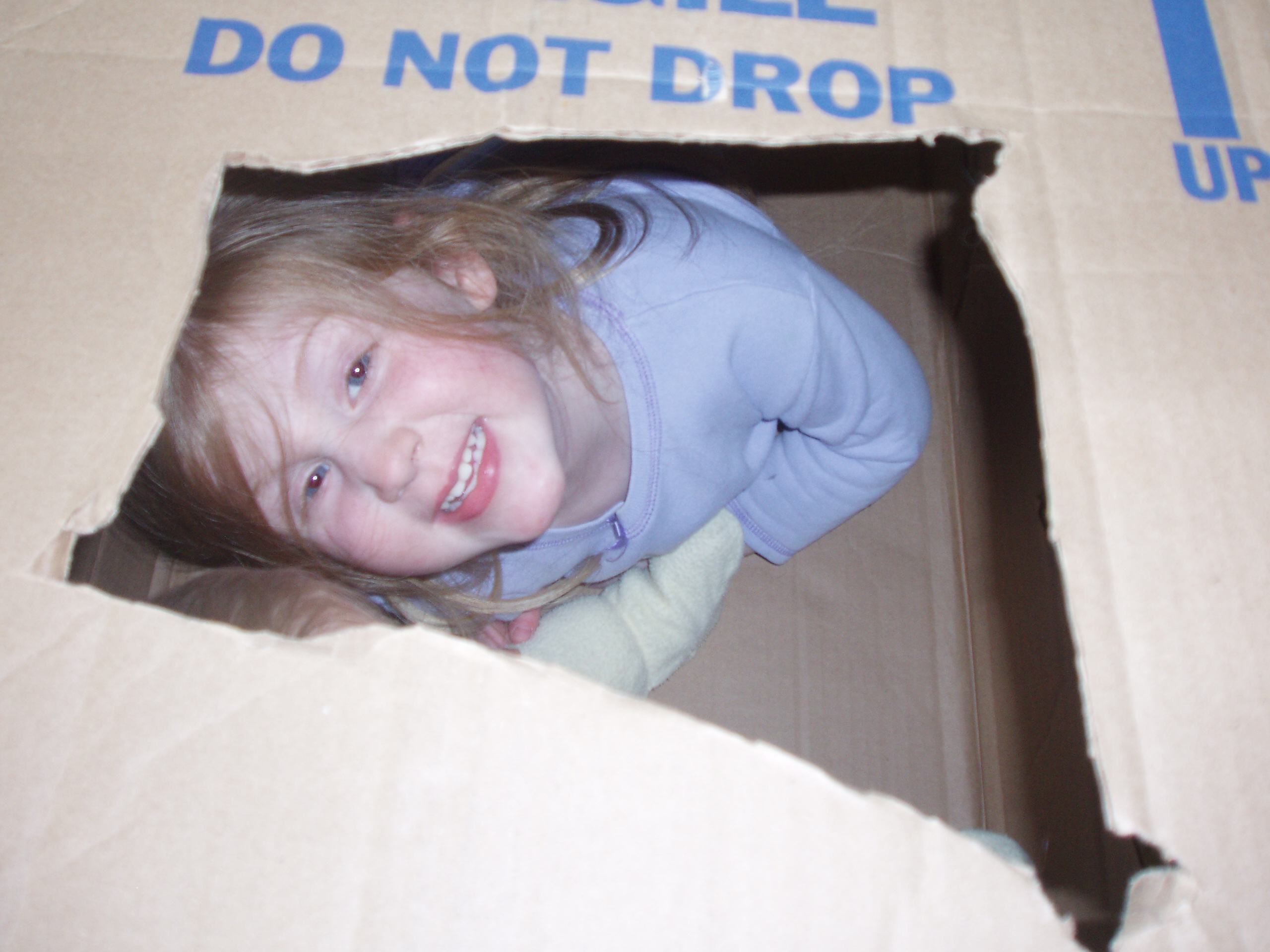 32008box.jpg