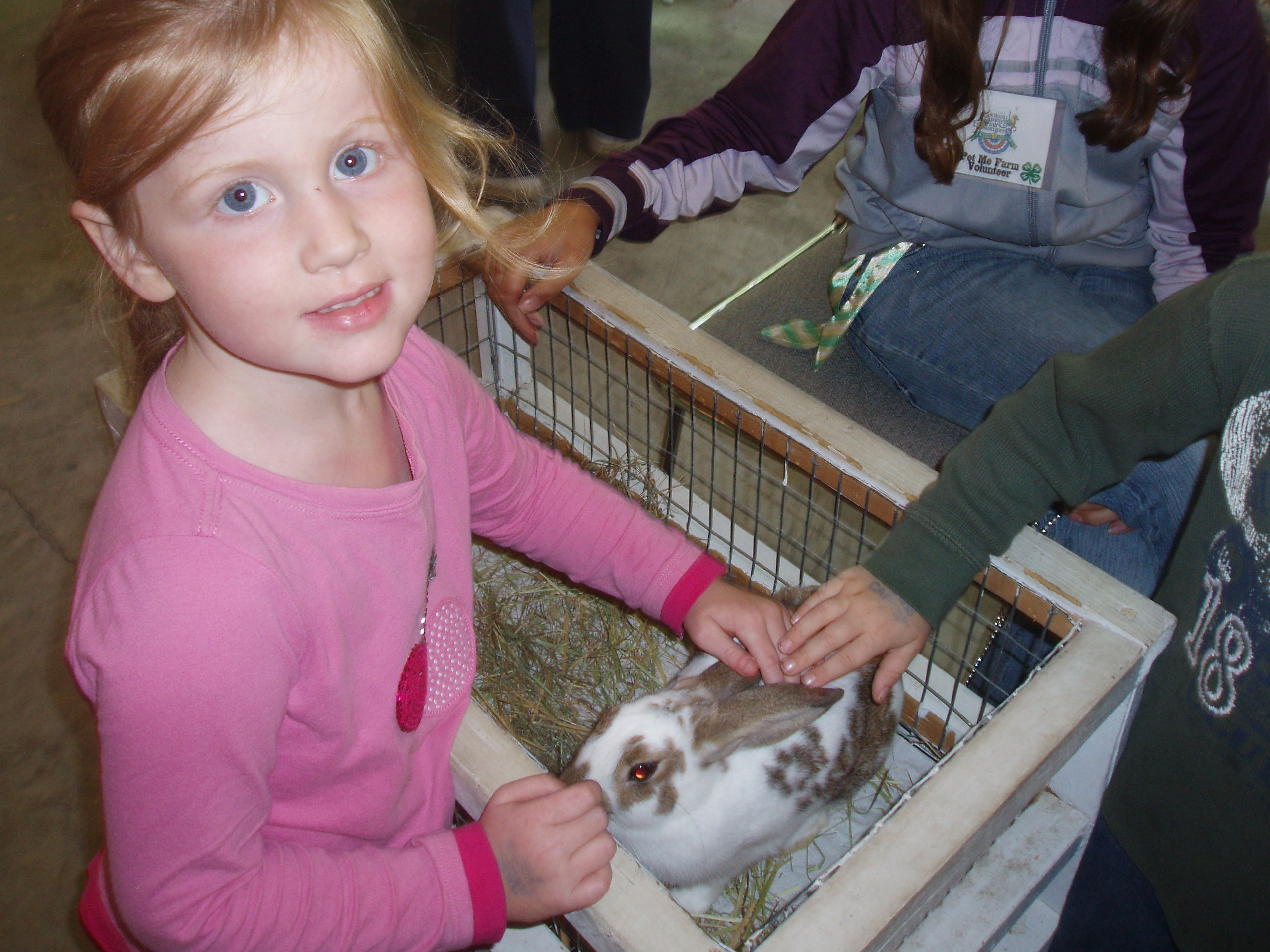 fair2008.jpg